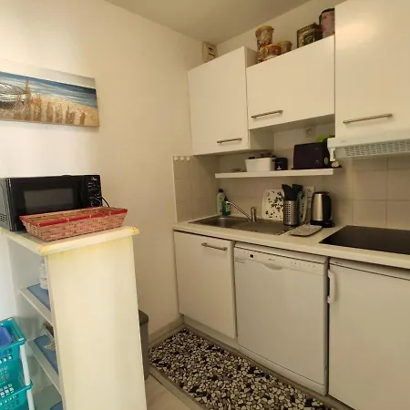 Appartement 2 Pieces Avec Terrasse, Piscine, Parking A 5 Min De La - 4 Couchages - Fr-1-252-158